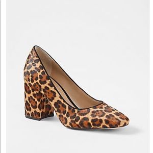Ann Taylor Block Heel Haircalf Missy Pump in Leopard Size 7.5